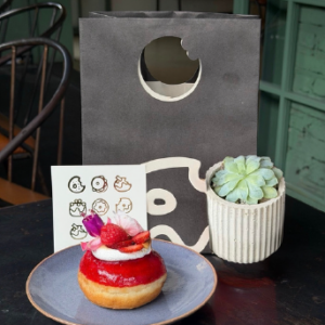 DONUT + SUCULENTA